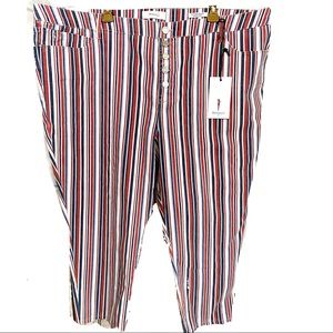 NWT Skinny Girl High Rise Cropped skinny jeans Risk Taker WOMEN SIZE  24W